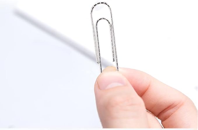 PAPERPAL Paperclips for Office School & Personal Use, #1 Nonskid Paper Clip (1-2/7"), 600 Medium Paper Clips (6 Boxes of 100 Each), Silver