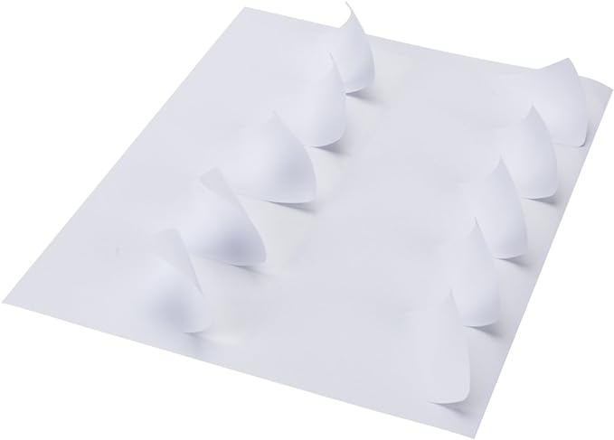 FungLam 2x4 Shipping Address Labels for Laser & Inkjet Printers, 300 Printable White Sticker Labels, 10 per Page Mailing Labels, Permanent Adhesive (30 Sheets, 300 Labels)