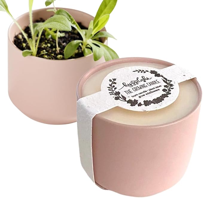 Hyggelight - The Growing Candle, Coffee Scented, 8oz Ceramic Pot, Aromatherapy Candles, 100% Soy, Cream and Espresso Aroma for Home, Adelyn