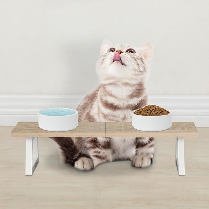 TEAMIX 24 inch Monitor Stand Riser, Wood & Steel Computer Monitor Stand with Storage, Laptop, PC, Printer Stand Riser for Desktop Office Desk Organizers