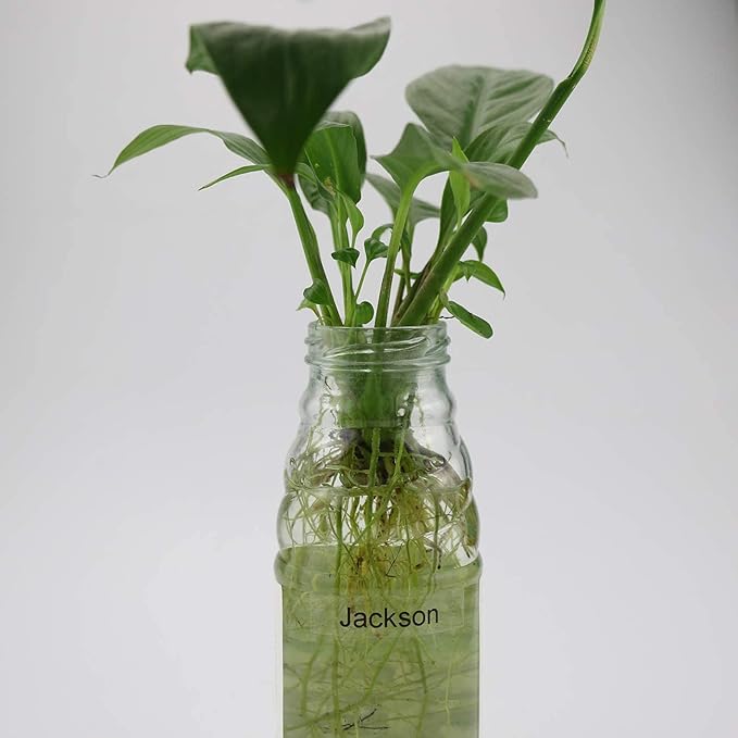 BOYEEZON Compatible D1 Clear Tape Replacement for DYMO D1 Label Tape 45010 S0720500 Clear 12mm Labeling Refills for Dymo Labelmanager 160 360D 280 420P 450 Duo, 1/2 Inch x 23 Feet, 3-Pack