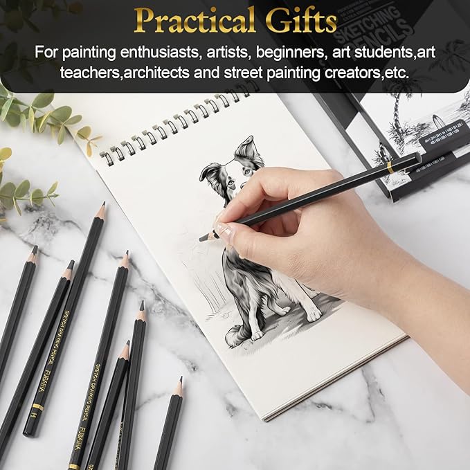 72 Pcs Drawing Sketching Pencil Set Professional (12b - 4h) Graphite Charcoal Gift Bulk for Artists Beginners, Pro Artists, Drawing Art, Sketching