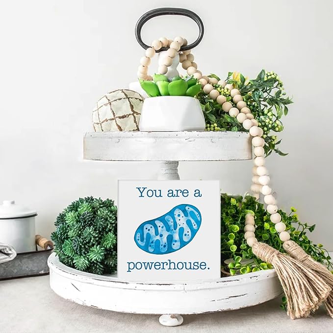 Science Biology Teacher Gifts for Students, Cool Science Biology Classroom Decor, Motivational Quotes Wooden Sign Decor