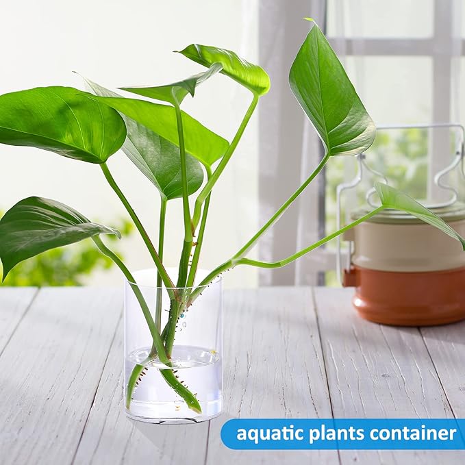 Epakh 6 Pack Clear Pen Holder Acrylic Pencil Cup Back to School Gifts Round Clear Makeup Brush Holder Acrylic Make up Brush Storage Organizer Desktop Pencil Cup for Home Office Supplies