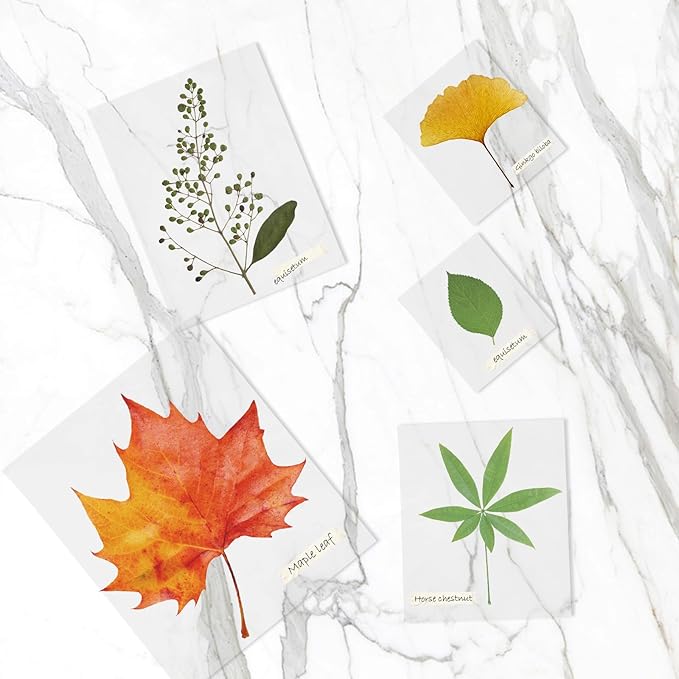 Thermal Laminating Pouches, FungLam Clear Laminating Sheets, 3 Mil Thickness Thermal Laminating Sheets, 9×11.5 Inch Laminator Sheets for Laminators, Clear Plastic Letter Size Sheets, 200 Pack.