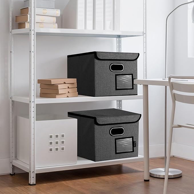 BALEINE File Organizer Box with Lid, Collapsible File Folder Organizer with Plastic Slide, Hanging File Folder Box for Office Document Storage (2 Pack, Black)