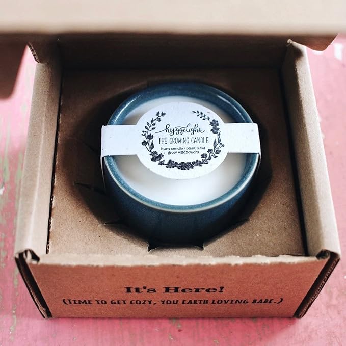 Hyggelight - The Growing Candle, Wild Flower Scented, 8.5oz Ceramic Pot, Single Wick Aromatherapy Candles, 100% Soy for Women and Men, Willow