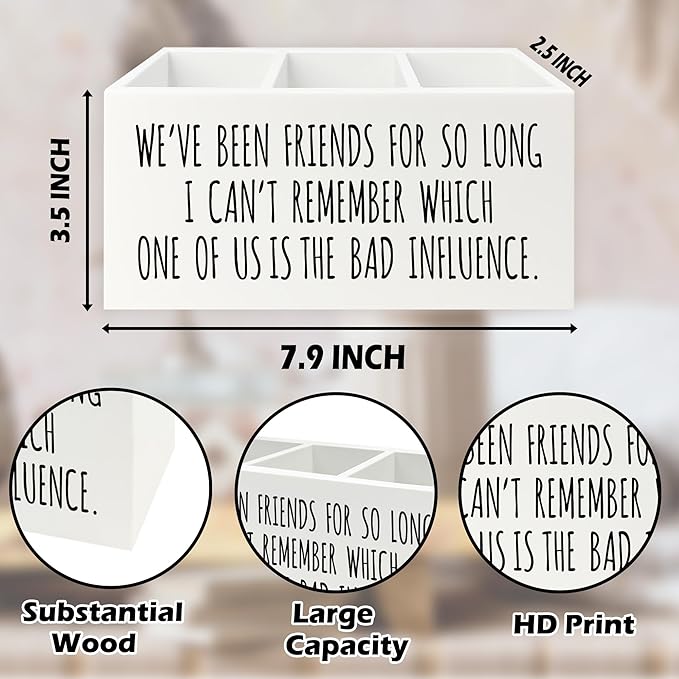 Funny Sarcastic Friendship Pen Pencil Holder Organizer for Desk, Humorous Gifts, We've Been Friends for So Long I Can't Remember Which Wooden Box Signs Decor for Home Office Desk Tabletop