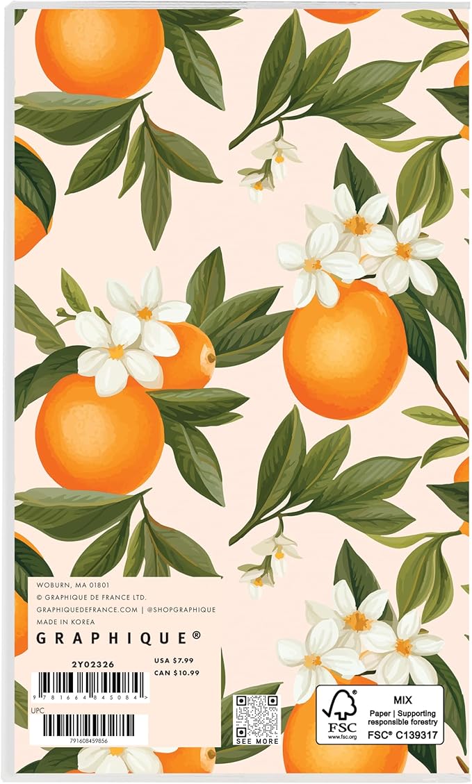 Graphique 2 Year Pocket Planner | 29 Month Organizer, Aug. 2025 – Dec. 2027 | Monthly Calendar & Notes Spreads | Marked Holidays | Elegant Pattern | 3.75” x 6"