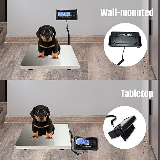 Charmline 660lbs x 0.2oz High Accuracy Digital Postal Scales, Shipping Scale with 15x12 Stainless Steel Platform, Heavy Duty Scale for Packages/Small Business/Postage/Luggage