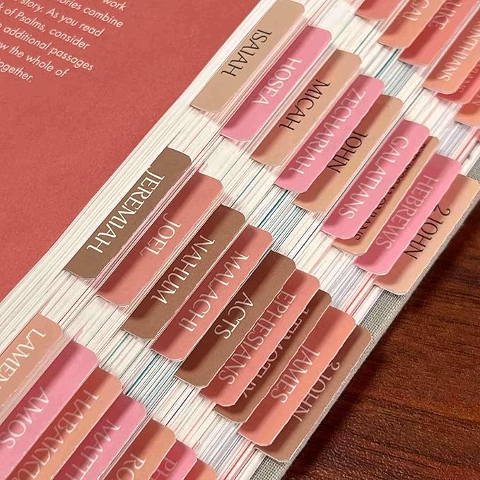 Thinkor Reposition Laminated Bible Tabs, Large Print Stickers, Easy to Read & Apply Bible Tabs for Women & Man (Spring Pink)
