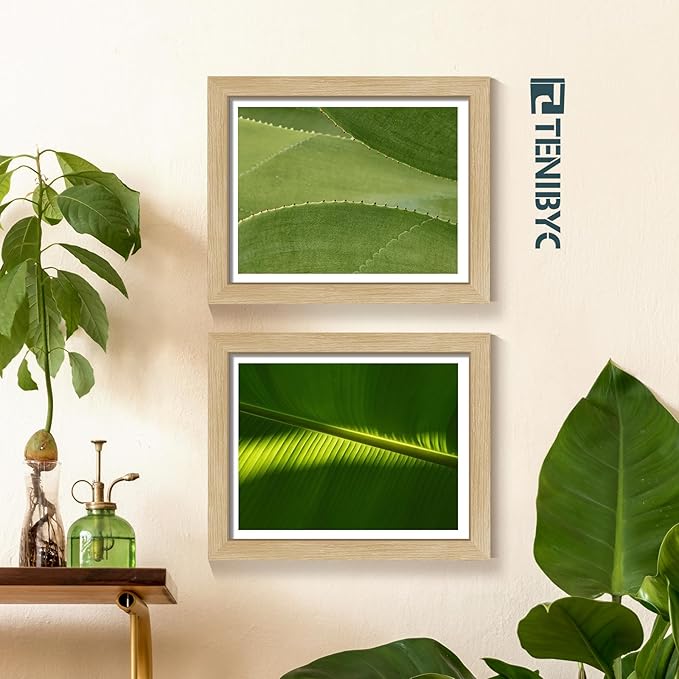 8.5x11 Picture Frame Set of 3 - Light Oak, Natural Wood Certificate & Diploma Frame with HD Tempered Glass, Tabletop Display