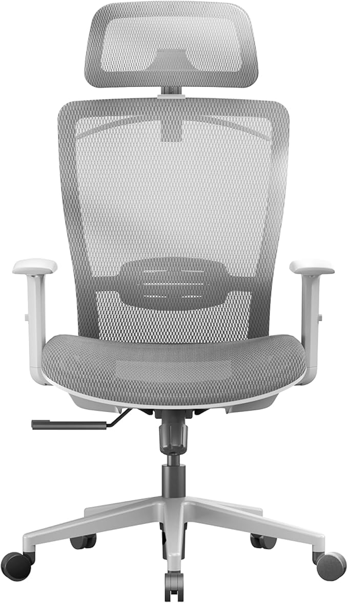 FLEXISPOT OC3 Air Ergonomic Office Chair Mesh Back Swivel Computer Chair Executive Office Desk Chairs with Adjustable Lumbar Support/2D Headrest/Lockable Backrest, Mesh Seat Cushion, Light Gray