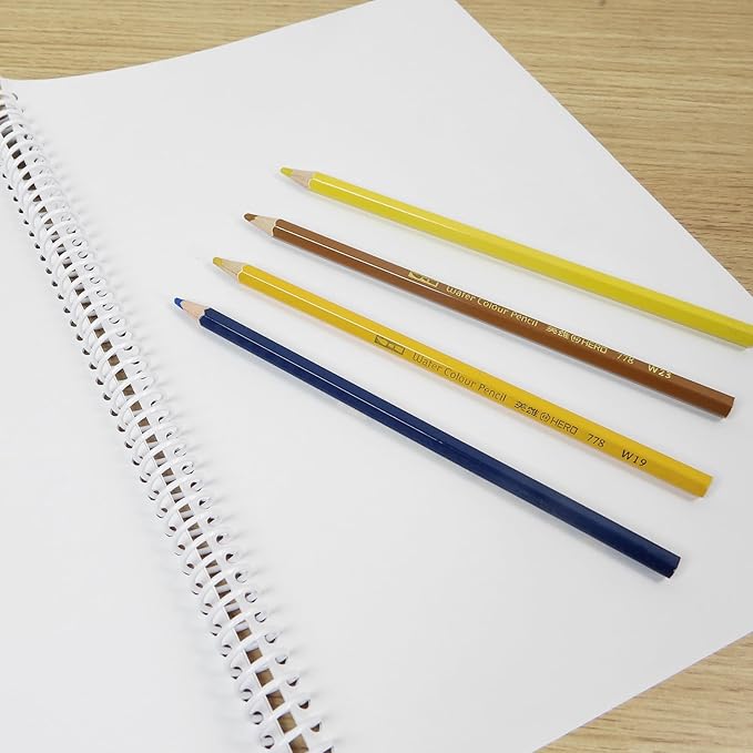 Rayson 3/4" Plastic Spiral Binding Coil, 160 Sheets Capacity, 4:1 Pitch 19mm White Coil Binding Spines for Business and Educational Purposes, Pack of 50