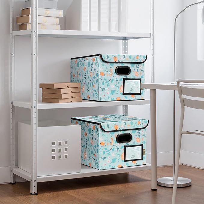 BALEINE File Organizer Box with Lid, Collapsible File Folder Organizer with Plastic Slide, Hanging File Folder Box for Office Document Storage (1 Pack, Spring Stroll)