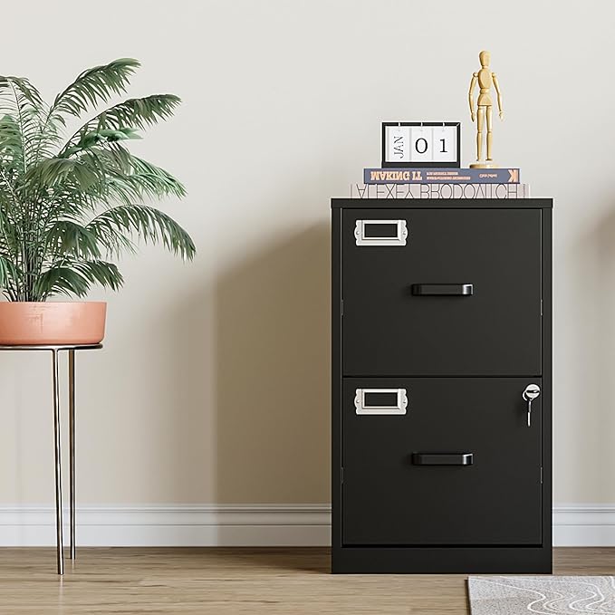 2 Drawer File Cabinet with Lock,Black Metal Vertical File Cabinets for Letter Size, Filing Cabinets for Home Office, Under Desk File Cabinet, Easy Assemble