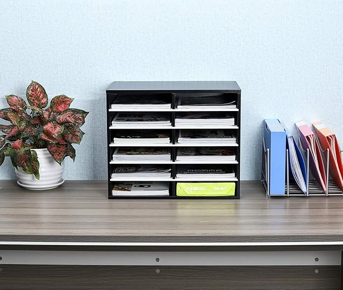 EasyPAG Mail Organizer Countertop, Wood Literature Organizer, Student Classroom Mailbox for School, Desktop Paper Sorter for Office Home, 12 Compartments, Black/White