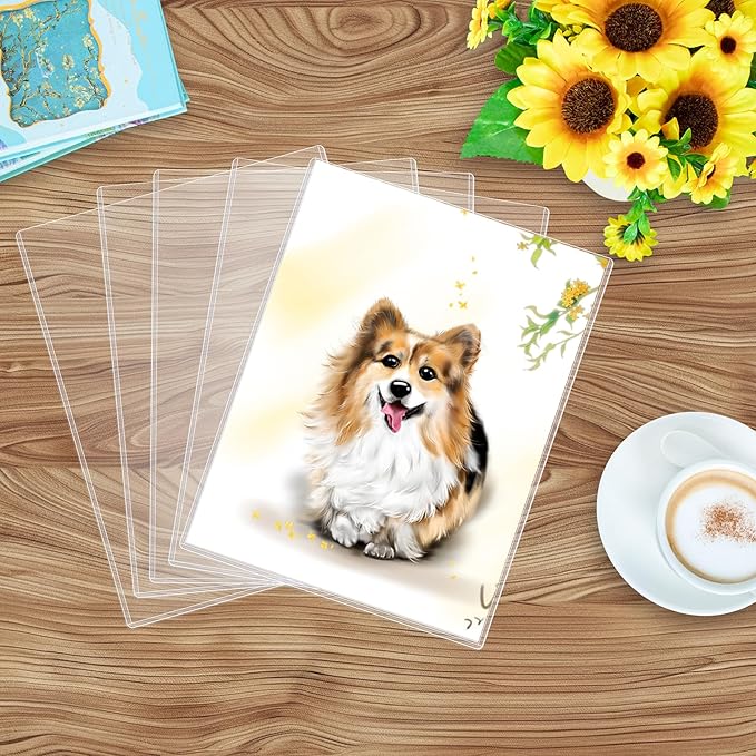 20PCS 9" x 12" Rigid Print Protectors Clear Plastic Sheet Protectors, Heavy Duty Top Loading Document Holder, Menu Cover, Photo Poster Sleeves Hard Plastic Sleeves for Paper Art Prints