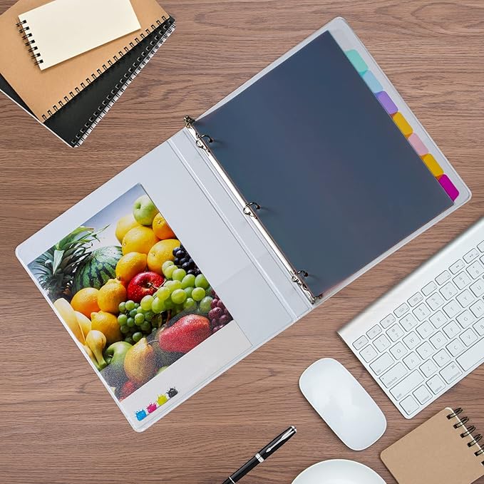 Seashell 3 Ring Binder Dividers with 8 Tabs, 3 Sets Plastic Binder Dividers for Notebooks and 3 Ring Binders, Letter Size, Durable, Assorted Colors