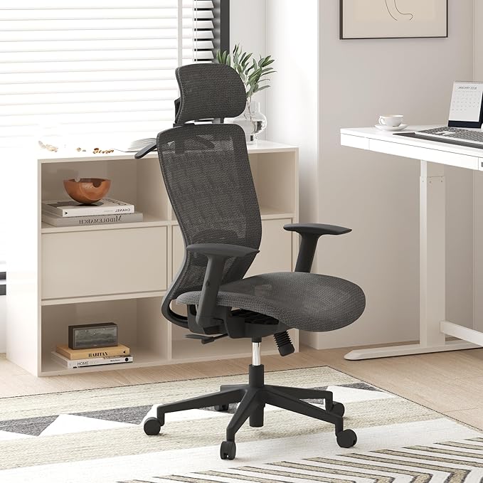 FLEXISPOT Ergonomic Office Chair, High Back Mesh Swivel Computer Chair, Executive Office Desk Chairs, with Adjustable Lumbar Support/2D Headrest/Lockable Backrest, OC3 Mesh Seat, Gray