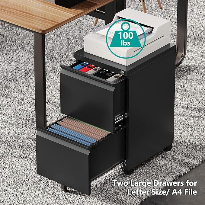 2 Drawer Metal File Cabinet with Lock, Rolling File Cabinets with Lock for A4/Legal/Letter Size, Under Desk Filing Cabinet for Home Office Assembly Required(Black)