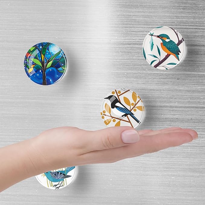 12Pcs Glass Refrigerator Magnet Fridge Sticker,Bird Fridge Magnets Decoration for Crafts,Strong Fridge Magnets for Kitchen, School,Office Whiteboard, Cabinet and Dishwasher