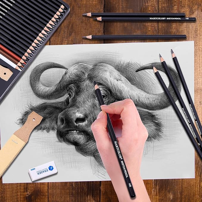 Drawing Sketching Pencils Set, 34 Pieces Pro Art Pencil Kit - Graphite Pencils (14B-4H), Charcoal Pencils, Charcoal Sticks, Artist Pencils for Beginners & Pro Artists