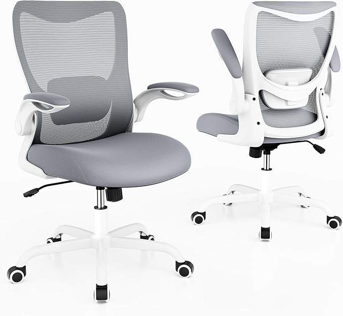 Office Chair, Ergonomic Desk Chair with Adjustable Lumbar Support and Flip up Armrest, Breathable Mesh Computer Chair for Home Office, Gray