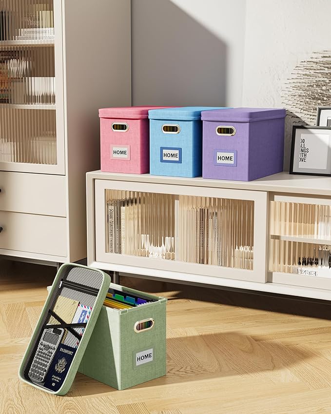 Oterri File Organizer Box with Lid, Hanging Filing File Box with Mesh Pocket, Document Organizer Box for Letter Files, Portable Storage Box with Smooth Sliding Rail for Office&Home (1 PCS, Pink)