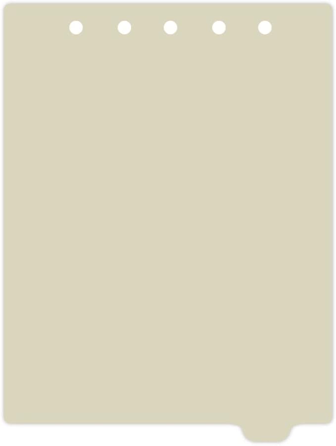 Carstens - Heavy Duty Plastic Ring Binder Dividers, Bottom Tab, 1/9 Cut, Tab 8 Position, US Letter, Pale Green, Case of 50, (2619-17CS) - Ideal Medical Chart Dividers or Index Tabs for 3 Ring Binders