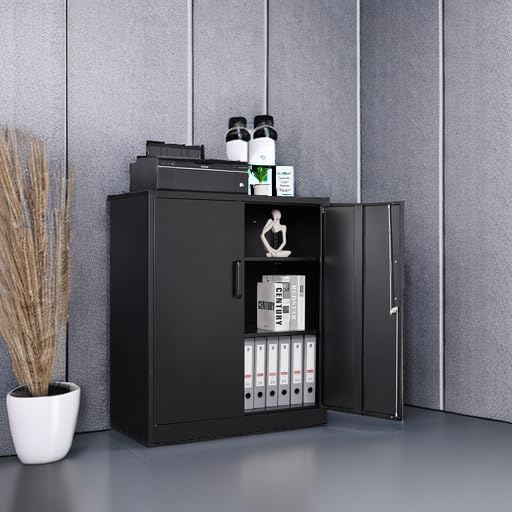 STANI Metal Storage Cabinet with 2 Adjustable Shelves, Steel Counter Cabinet with Lockable Doors for Home Office (Black)