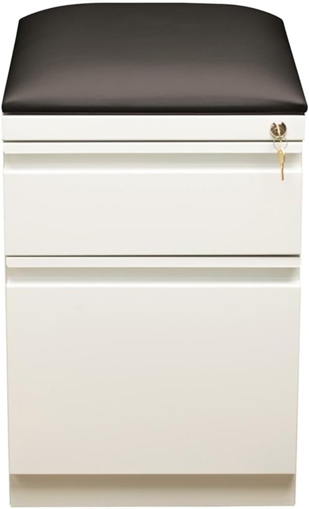 Pemberly Row 2-Drawer Metal Mobile Pedestal Filing Cabinet in White/Black