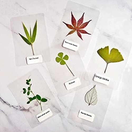 Coopaty Thermal Laminating Pouches, 9 x 11.5-Inches, 3 Mil Thick, Clear Laminating Sheets (100 Pack)