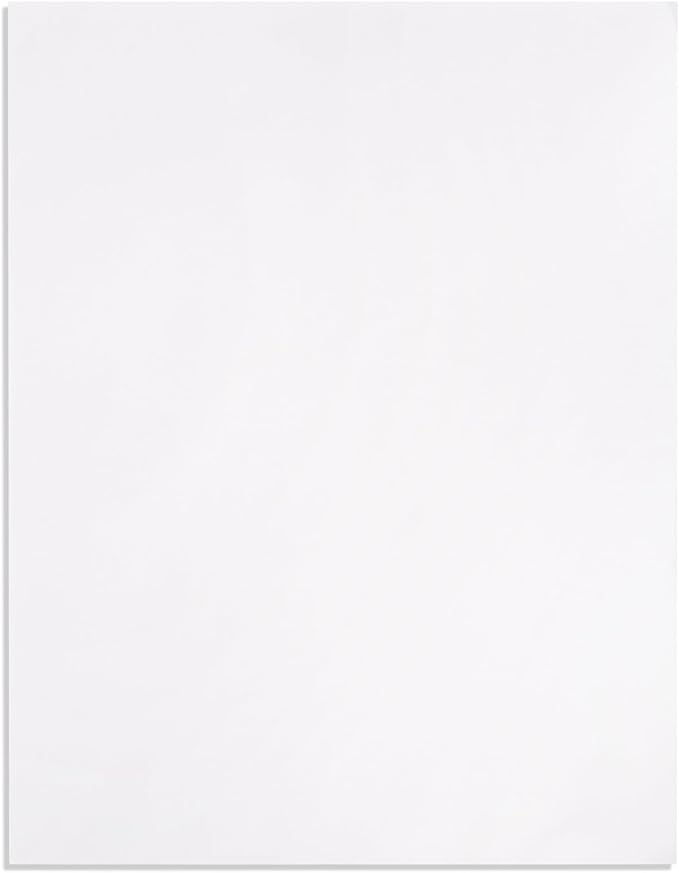 Blue Summit Catalog Envelopes, 10 x 13 Peel & Seal Envelopes, White Wove with Center Seam, 100 Envelopes