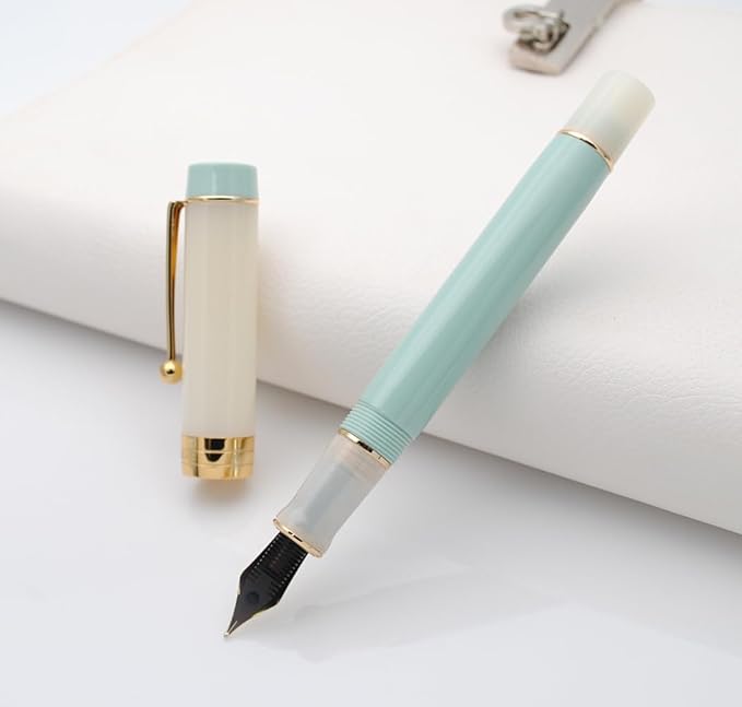 JINHAO 100 Fountain Pen with Ink Converter (Medium Nib 0.7mm, Light Green)