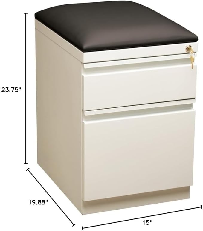 Pemberly Row 2-Drawer Metal Mobile Pedestal Filing Cabinet in White/Black
