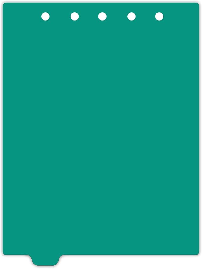Carstens - Heavy Duty Plastic Ring Binder Dividers, Bottom Tab, 1/9 Cut, Tab 2 Position, US Letter, Turquoise, Case of 50, (2619-02CS) - Ideal Medical Chart Dividers or Index Tabs for 3 Ring Binders