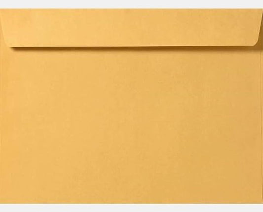 Limited Papers (TM) Booklet Envelopes, (Open Side) Brown Kraft, Gummed Seal, 28 Pound, Heavyweight, For Mailing And More. (250, 9.5 x 12.5)