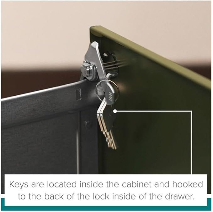 Pemberly Row 2 Drawers 27.75" Vertical Black Metal Filing Cabinet Lockable Pre-Assembled Stationary Letter Size for Home, Office