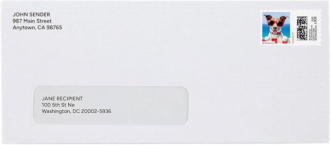 Summer Pup NetStamps 1200-Pack (50 Sheets) Printable Postage Labels (Stamps.com Subscription Required) - Print Approved Postage - Inkjet & Laser Printers - Business, Personal, Home