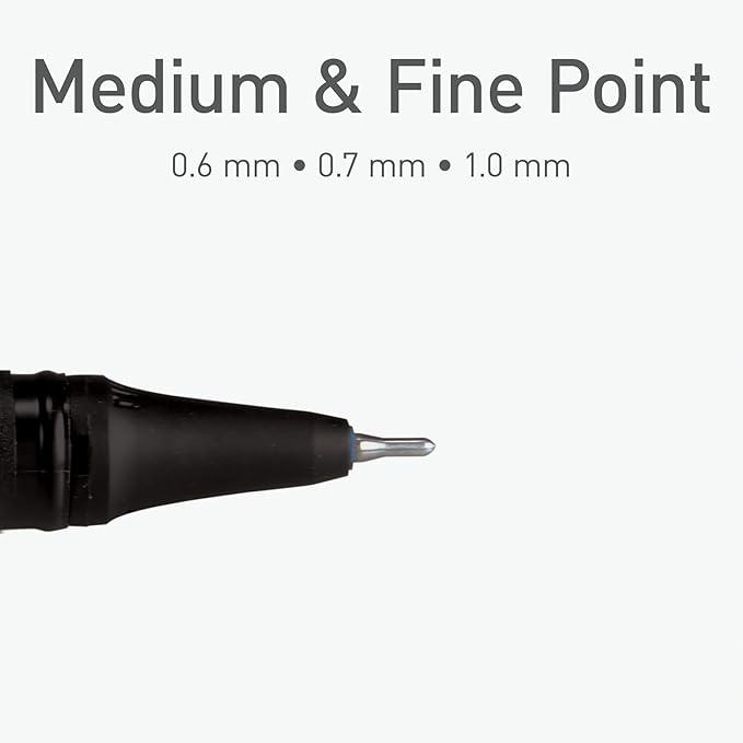 Pentonic Gel Pens, 24 Count, Assorted Colored Ink (12 Colors, 2 Of Each Color), Medium & Fine Point, Smooth Writing For Journaling (1002353)