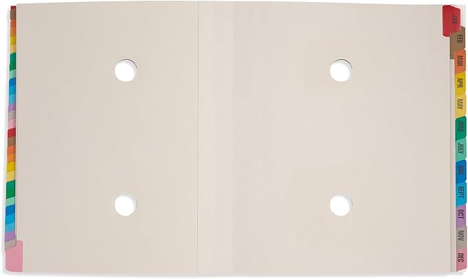 Blue Summit Expandable Monthly File Organizer, Ticker File Combo 31 Daily and 12 Monthly Tabs, Letter Size 12 Month Folder Organizer for Invoices and Documents