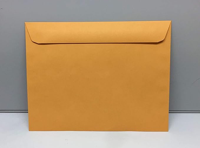 Limited Papers (TM) Booklet Envelopes, (Open Side) Brown Kraft, Gummed Seal, 28 Pound, Heavyweight, For Mailing And More. (500, 10 x 13)