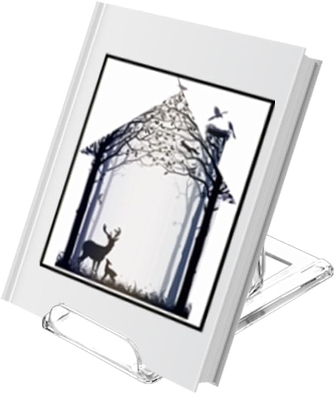（10 Pack ）Acrylic Book Stand for Display Adjustable Clear Display Holder Easel Collector Stand for Home Office Back to School Comic Album CD Magazine Postcard Artworks (4.2 x 4.3 x 2.35 Inch)