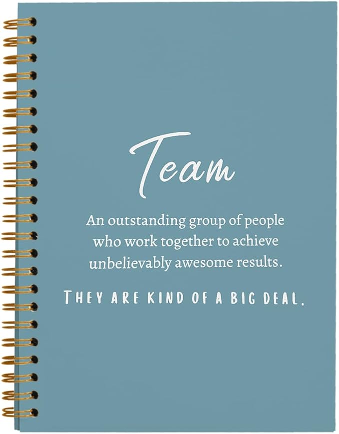 hold fizz Blue Meeting Notebook for Work, Employee Appreciation Gifts, Team Gifts for Employees, Journals for Writing, Thank You Gifts for Women Men Leader Boss Manager Mentor Coworkers, 5.5"x8.3"
