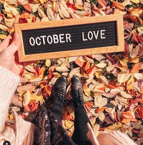 Felt Like Sharing Small Letter Board (Black Felt - 10”x3.5”) – Changeable Message Board with 3 Sets of Felt Board Letters – Statement Wall Sign for Quotes, Home or Holiday Decor In Oak Frame