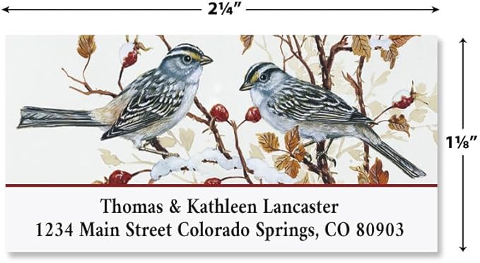 Colorful Images Garden Friends Birds Return Address Mailing Labels, Personalize with Name & Addresses, Set of 144 Self Adhesive, Easy Peel Flat Label Sheets, 1 ⅛ x 2 ¼”, 6 Designs