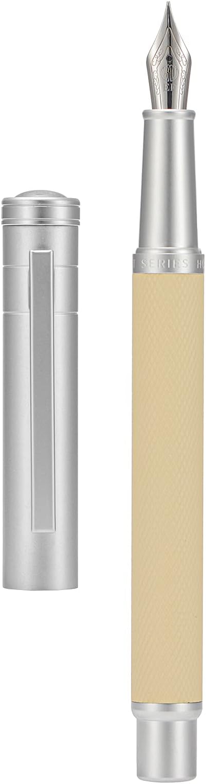 Silver Birch Forest Aluminum Fountain Pen Fine Nib with Converter and Metal Gift Box Set By Asvine