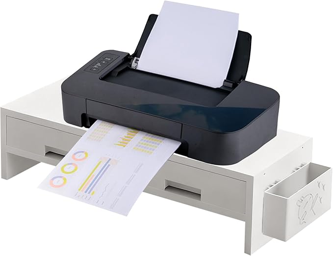 Monitor Stand Riser - Double Drawer Ergonomic Organizer for Desk, Authentic Computer Monitor Riser with Storage, Desktop Accessory for Family Friends Home Offices Indoor Study Room