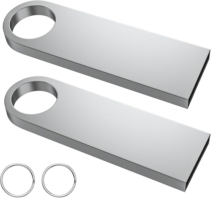 ABLAZE 8GB Flash Drive 2 Pack, Metal USB 2.0 Thumb Drives with Keychains USB Stick Pendrive (Sliver)